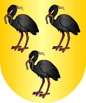 ESCUDO ALEATORIO
